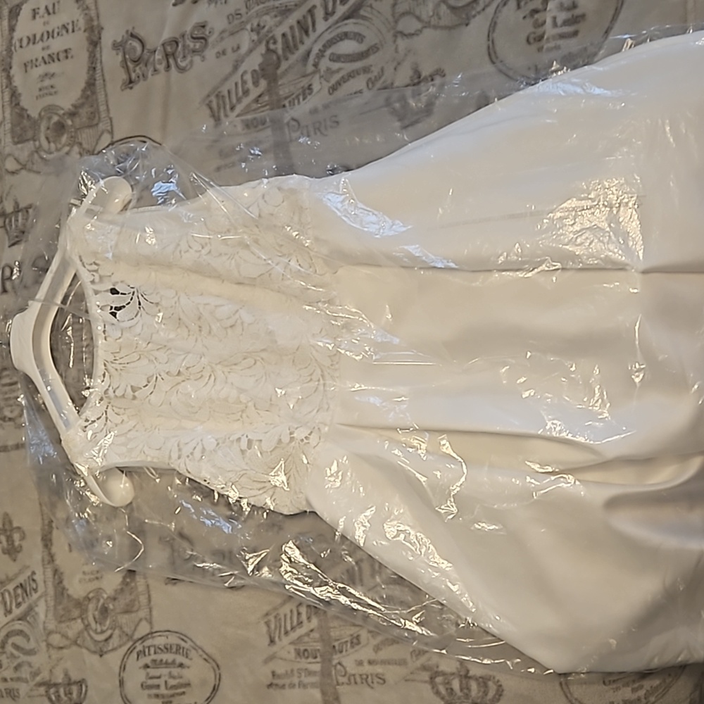 Adrianna Papell Ivory Wedding Dress